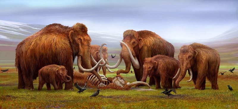 Crows, Elephants, Tusks, Mammoths, Goodbye, 4K, Древние животные, Mammoth, Cubs, Art, Bones, Skeleton, The corpse