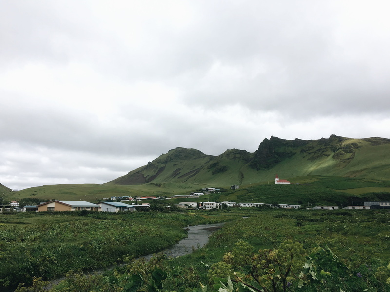 architecture, iceland, outdoors, green, vik, dreary, tranquility, plant, built structure, nature, building, village, mountains, day, beauty in nature, tranquil scene