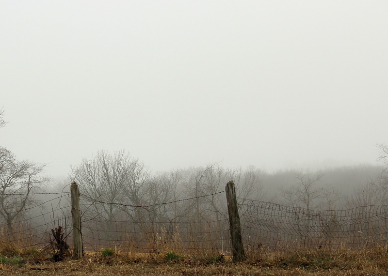 field, day, land, grey, boundary, 2K, yellow, mist, wood, fog, country, plant, nature, landscape, fence, tranquil scene, borderline, copy space, post