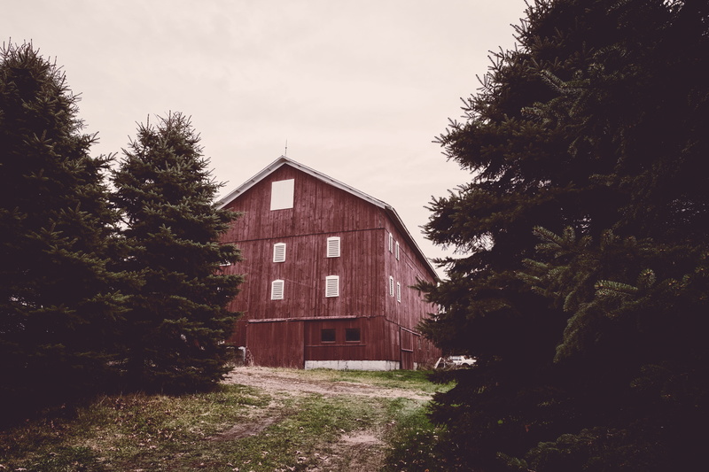 architecture, outdoors, dreary, house, building exterior, red, cloudy, no people, cloud - sky, residential district, forboding, land, abandoned, field