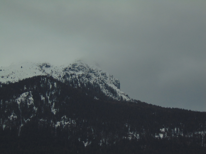pine, cloudy, dreary, nature, sky, snowcapped mountain, discover, cold, environment, tranquility, outdoors, overcast, 5K, snow, mountain peak, landscape