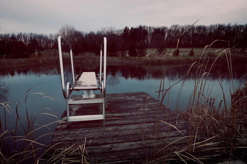 diving, swim, day, water, tree, reeds, lakeshore, ruined, plant, decay, dreary, ruin, idyllic, divingboard, wooden post, woods, no people, pond, united states