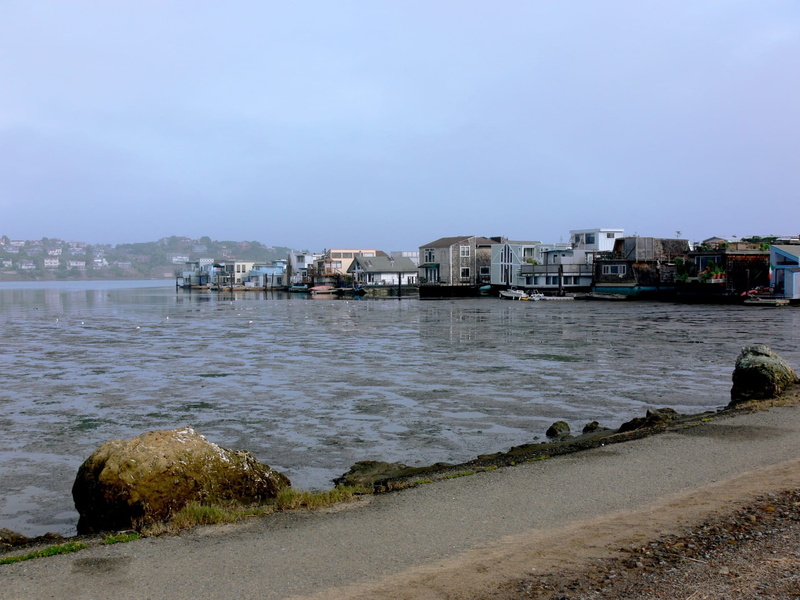 travel Locations, cloud - sky, Water, beach, transportation, dreary, cityscape, washed up, city, building, house, residential district, Low Tide, river