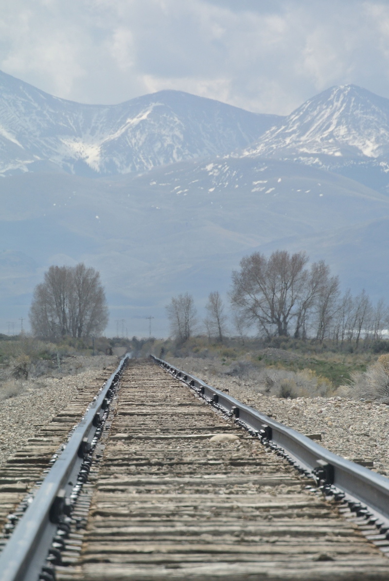 dreary, mountain, scenics - nature, beauty in nature, rail track, long, nature, day, wood - material, outdoors, no people, non-urban scene, transportation