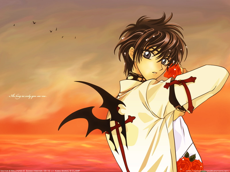 clamp, shirou, kamui, 720P, 1999