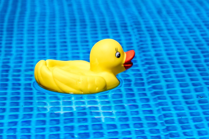 indoors, duck, 4K, child, ducky, time of year, sunny, animal representation, rubber, heiss, representation, play, rubber duck, pool, fun, attitude to life