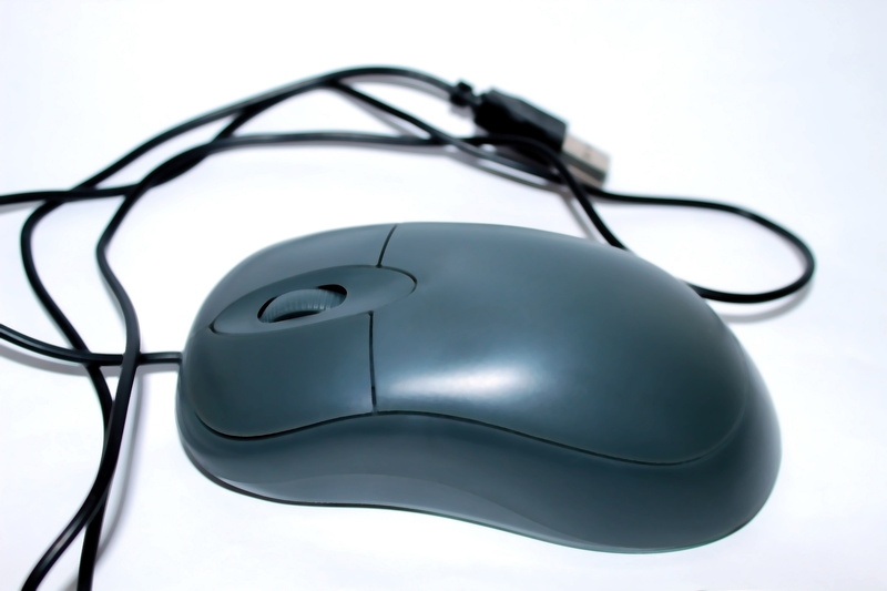 business, wired, cable, wireless technology, computer mouse, hover, white, communication, control, still life, no people, protection, black, gray, computer