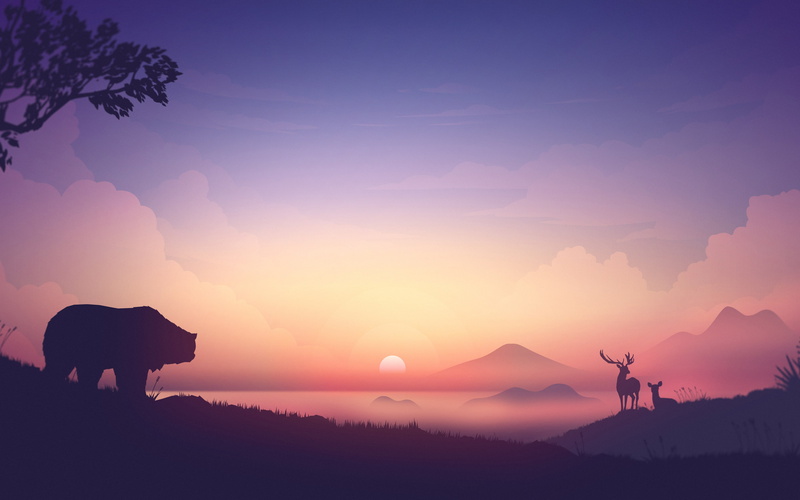 Others, field, bear, animal themes, mammal, deers, sunrise, nature, beauty in nature, fog, landscape, cloud - sky, animal, lifestyles, sunset, domestic animals