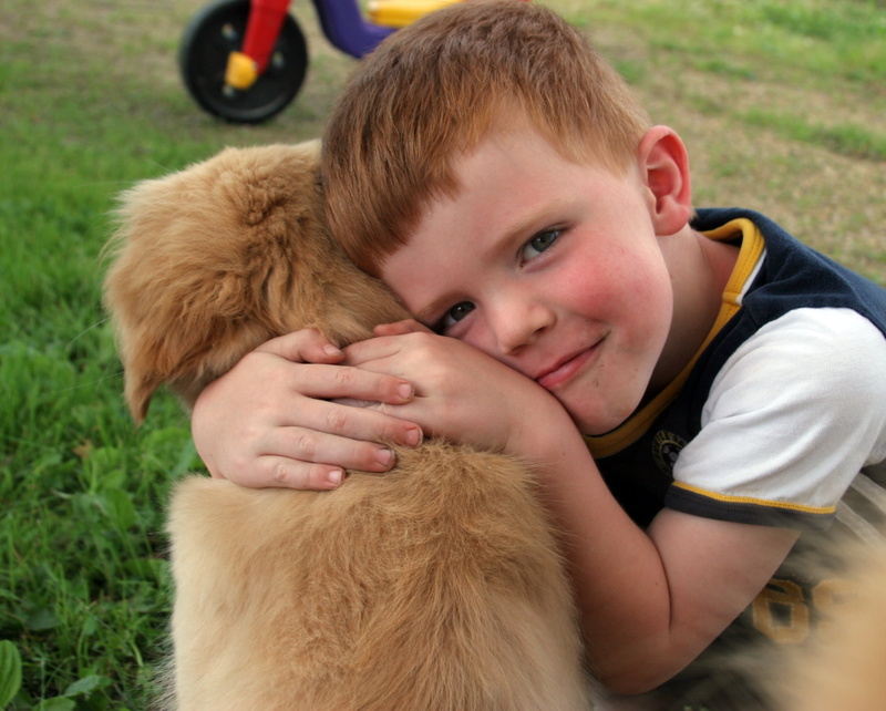 children only, real people, leisure activity, people, boy, brown, emotion, cute, boys, happy, embracing, looking at camera, dog, mammal, 1080P, childhood