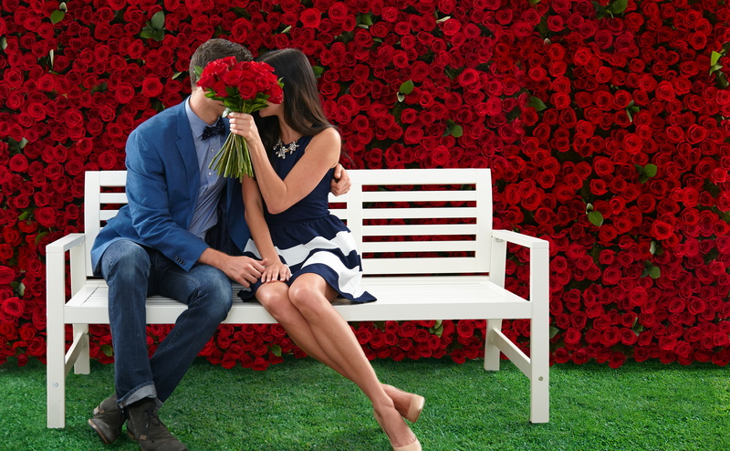 heterosexual couple, Couple, redroses, Flowers, black, park bench, young couple, men, tuxedo, positive emotion, valentine, Fancy, young men, dress, Beautiful
