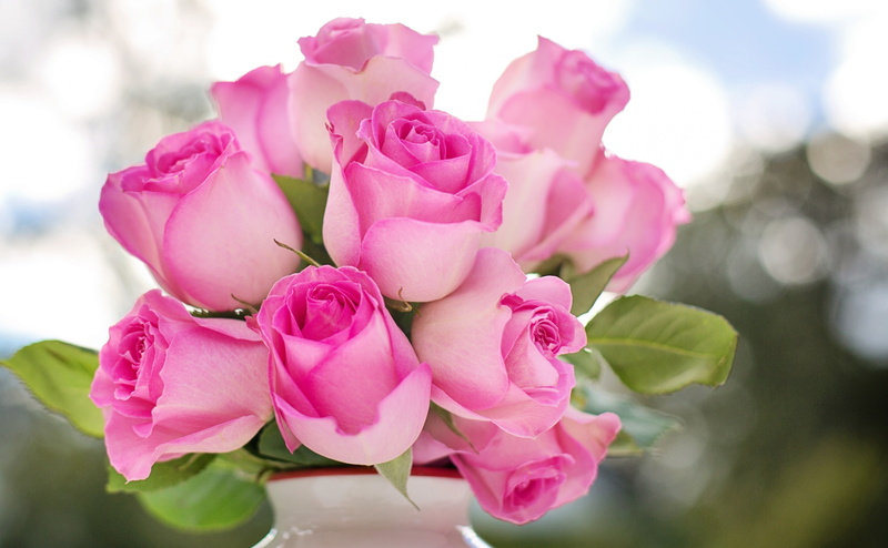 fragility, beauty in nature, inflorescence, cutflowers, day, Vase, Valentine, Roses, valentinesday, rose - flower, plant, flower head, Blooming, Wedding