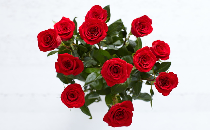red, Love, Fancy, flowering plant, bunch of flowers, redroses, bouquet, rose - flower, floral, White, Beautiful, valentinesday, nature, inflorescence, Romantic