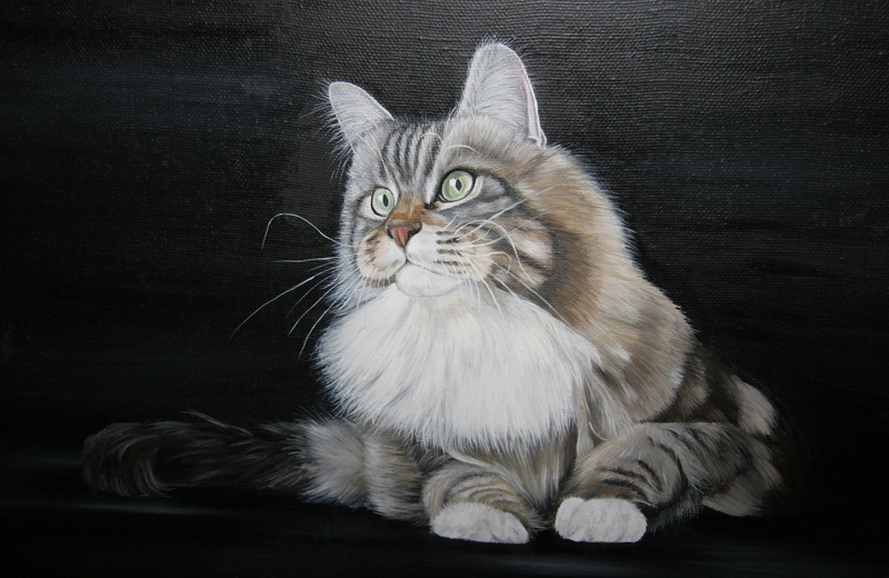 mustache, black background, Tomcat, portrait, mammal, whisker, illustration, picture, animal themes, pets, painting, sitting, domestic cat, white color