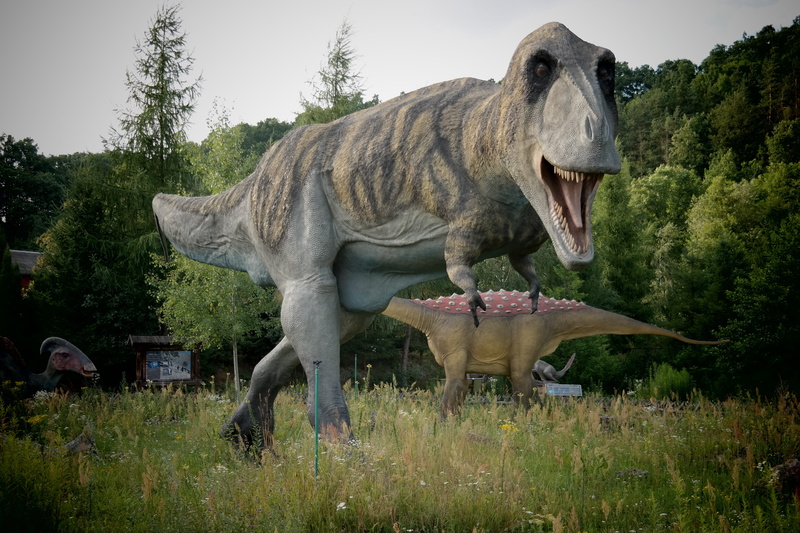 tyrannosaurus, mouth open, animal representation, closeup, Dinosaur, wild animal, day, representation, pet, statue, animals, outdoors, animal themes, sculpture