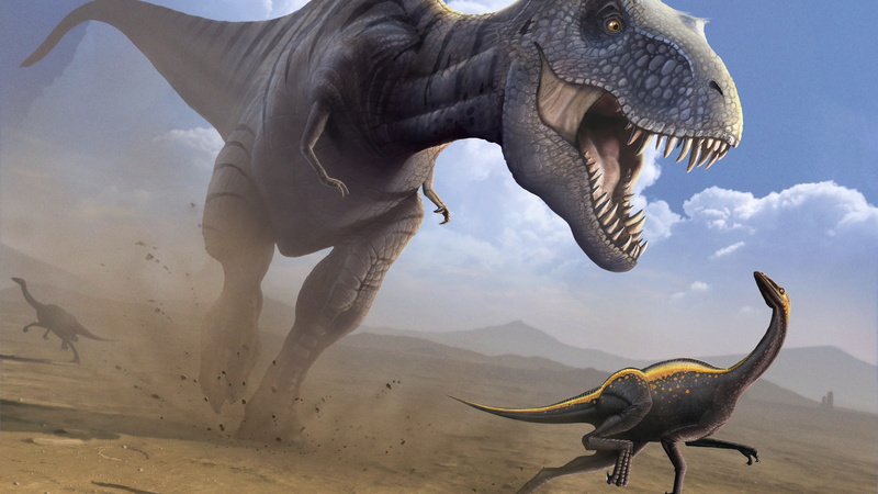 dinosaur, raptor, t, 5K, Ornithomimus, art, rex, Tyrannosaurus, chases