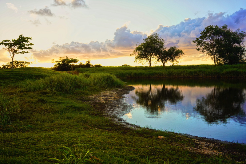 no people, sky, non-urban scene, environment, plant, guadeloupe, scenics - nature, marie-galante, staw, wasser, water, travel, tree, beauty in nature, sunset