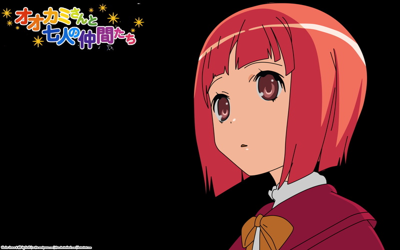 1080P, Ookami-san to Shichinin no Nakama-tachi, Anime