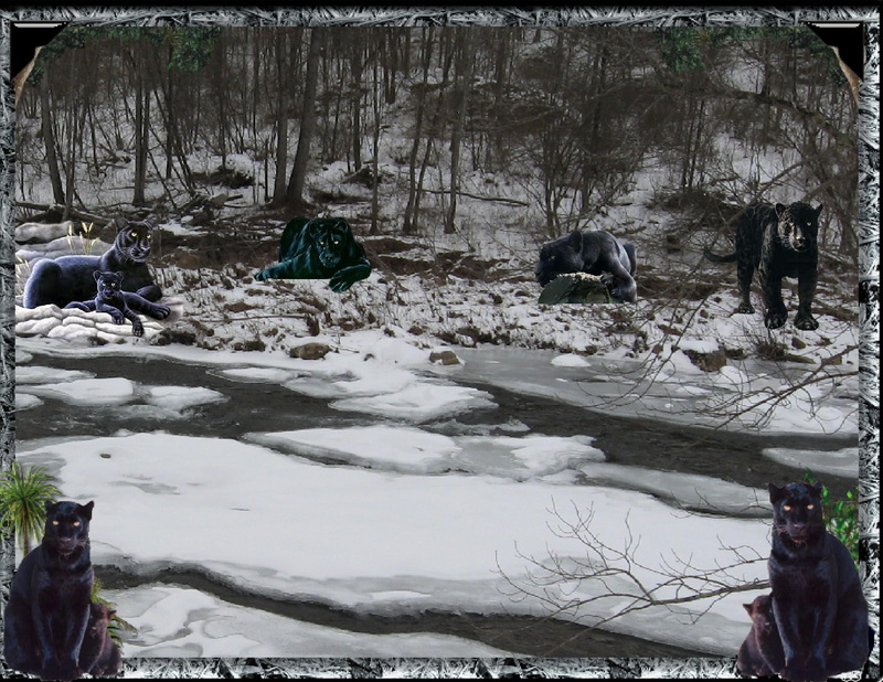 1080P, wildlife, animals, artwork, carnivorous, panthers, cats, black, snow, field