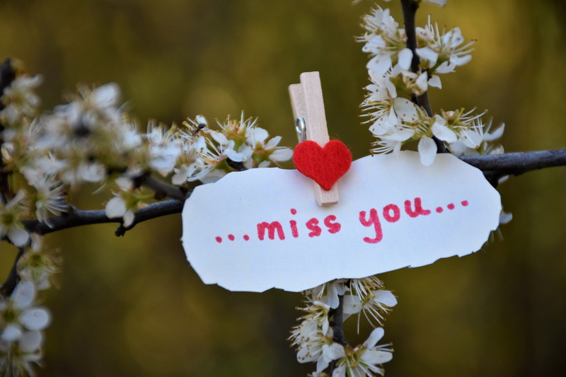 plant, missing, nature, outdoor, lost love, hanging, celebration, focus on foreground, freshness, red heart, communication, western script, outdoors, day