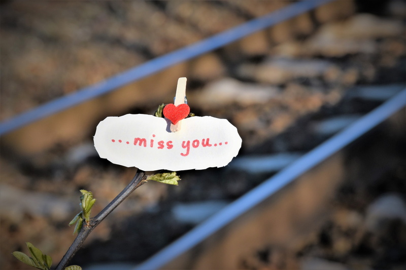 positive emotion, heart shape, railway, day, white color, selective focus, message, 5K, outdoors, food and drink, nature, western script, close-up, to lost love