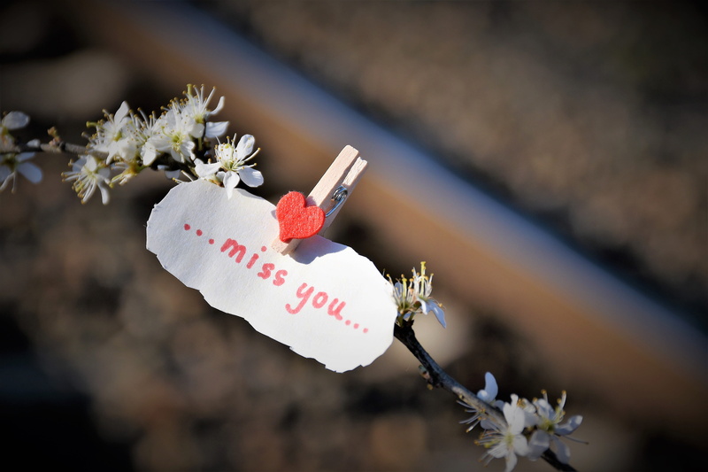 no people, vulnerability, missing, focus on foreground, selective focus, to lost love, springtime, growth, remembering, outdoor, outdoors, beauty in nature