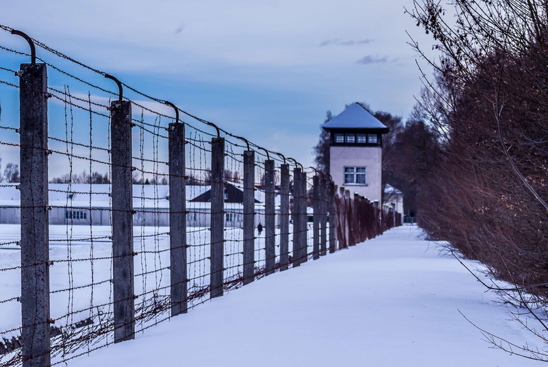 bad, history, concentration camp, barbed wire, farewell, outdoors, covering, bavaria, fear, brown, boundary, blue, captivity, sky, dachau, 4K, fence, cold temperature