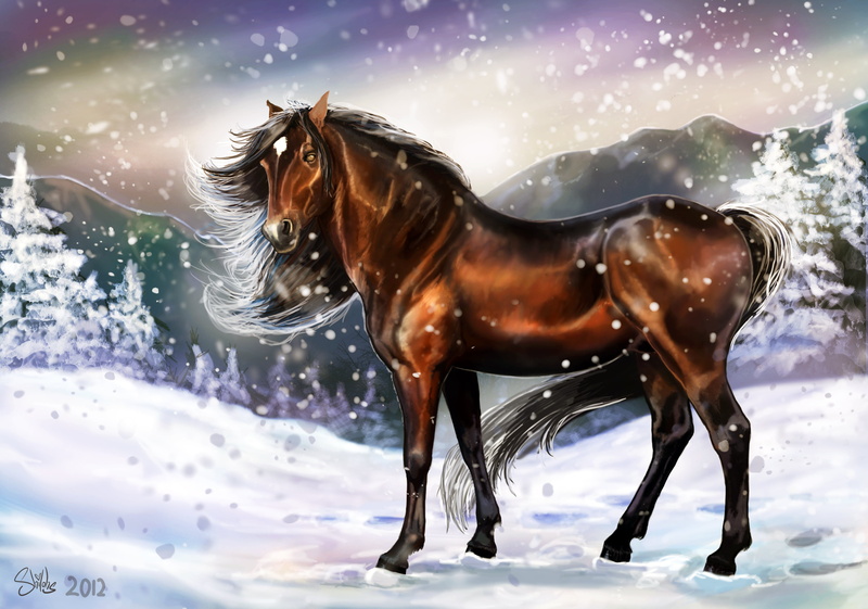 herbivorous, beauty In Nature, domestic animals, pets, animal themes, land, nature, painting, one animal, riding, mammal, horse, traces, vertebrate, livestock