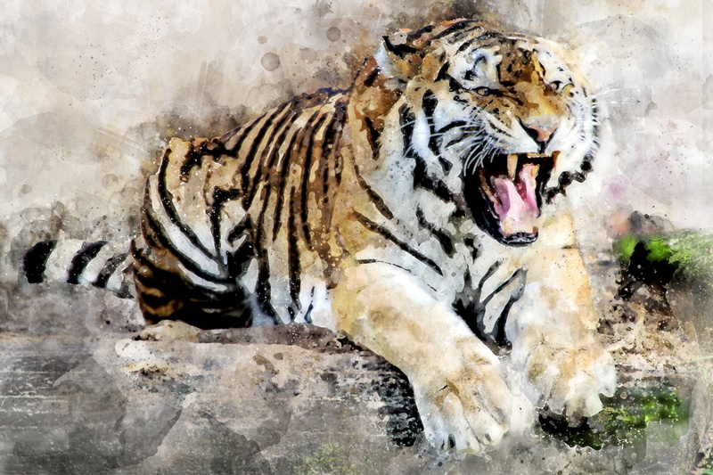 animals in the wild, dangerous, beast, tooth, tiger, white tiger, animal markings, mouth open, nature, outdoors, danger, digital painting, brown, angry