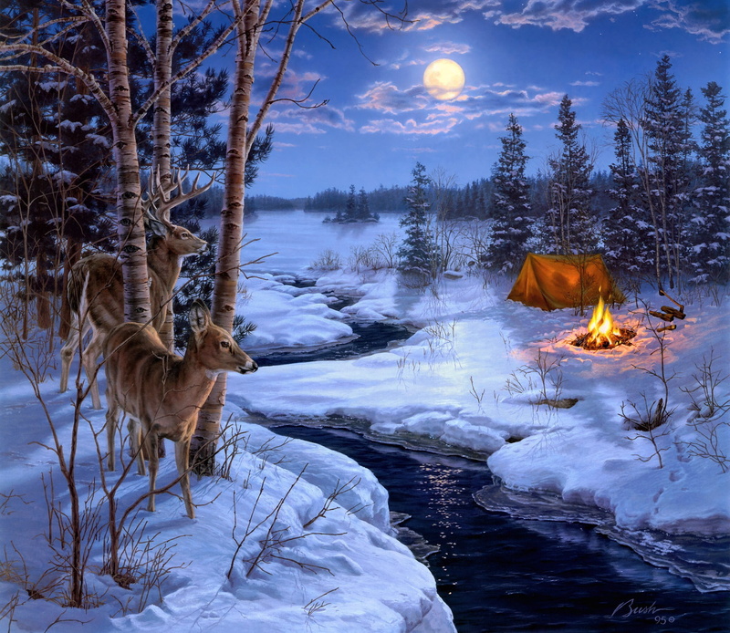 Moon Shadows, sky, scenics - nature, tent, stream, the fire, lake, tranquility, full, snowfield, frozen, beauty In Nature, illuminated, landscape