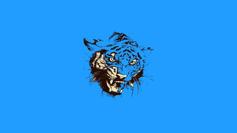spooky, aggression, studio shot, animal wildlife, fear, no people, art, marine, anger, 1080P, vertebrate, cruel, monster - Fictional Character, abstract