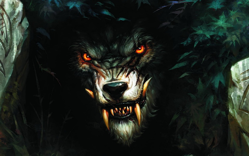 evil, animal body part, 1080P, mammal, fang, horror, black Color, animal themes, dark, mouth, cute, night, halloween, pets, werewolf, negative emotion