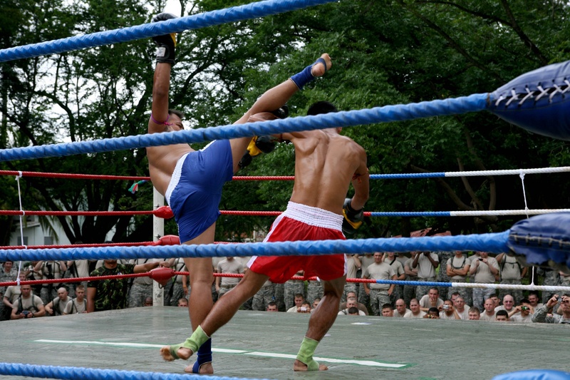 muay thai, vitality, two, nature, exercising, people, men, real people, healthy lifestyle, 2K, effort, demonstration, thailand, clinching, strength, tree