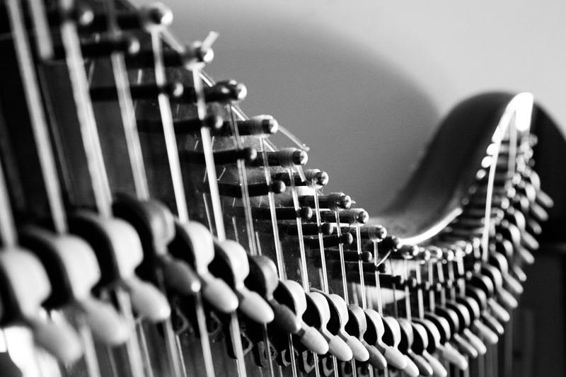 harp, musical equipment, order, strings, close-up, indoors, absence, pattern, australia, musical instrument, side by side, musical instrument string, wood - material