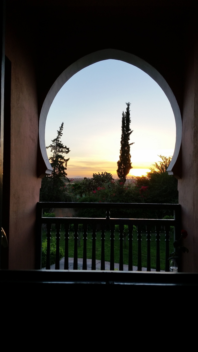 marrakech, water, arch, day, nature, silhouette, lever, indoors, plant, sunset, built structure, cemetery, 5K, architecture, no people, soleil, de, window