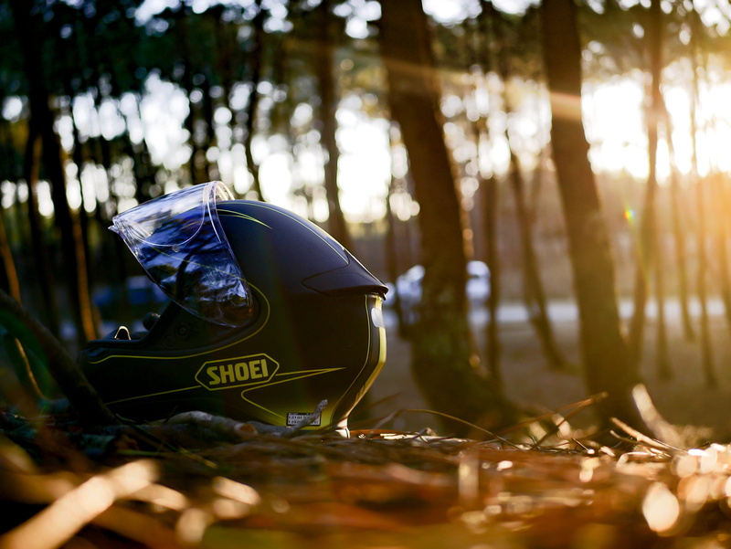 4K, helmet, outdoors, container, shoei, motorbike, forest, water, nature, land, growth, surface level, trunk, tree trunk, one person, reflection, tree