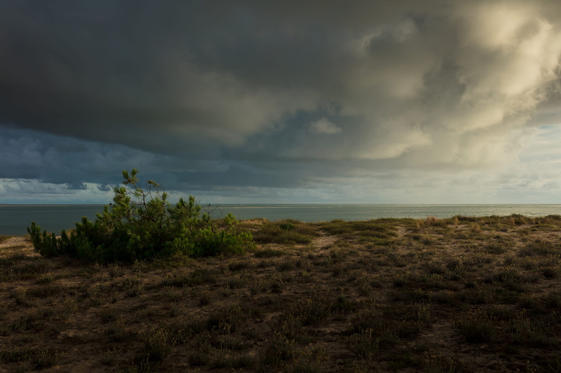 clouds, capferret, horizon, non-urban scene, cloud - sky, cap ferret, sand, beach, sea, water, beauty in nature, overcast, outdoors, bassin, scenics - nature