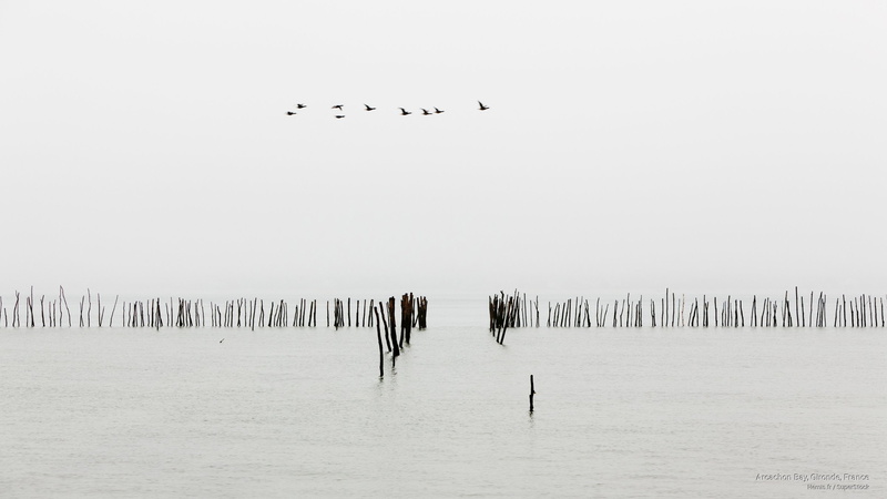 arcachon, bay, gironde, 2K, Nature, france