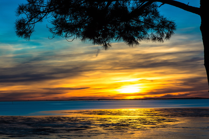 land, Arcachon, nature, horizon, plant, arcachon basin, cloud - sky, tree, scenics, sky, 5K, scenics - nature, Sunset, Audenge, outdoors, tranquility
