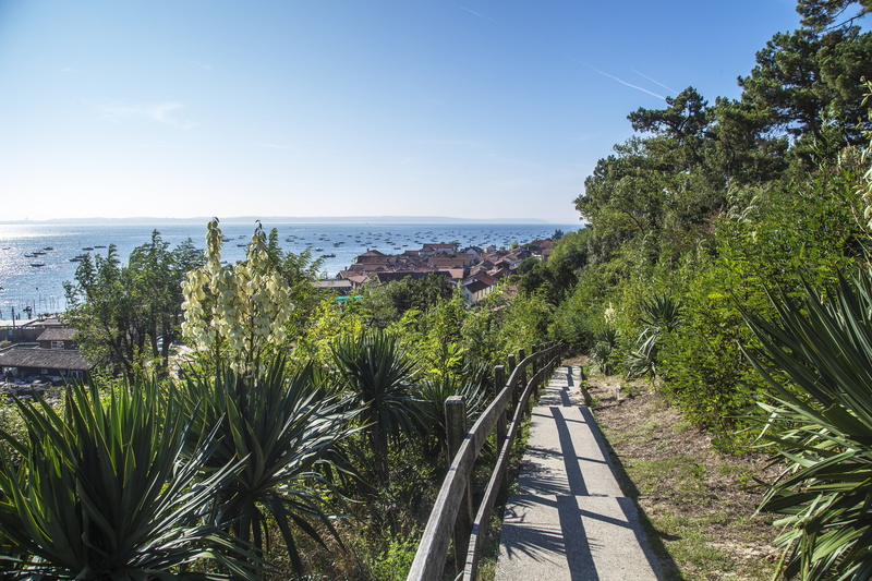 wild, beach, france, light, basin, land, scenics - nature, pine, tropical climate, horizon, architecture, shore, arcachon, vegetation, trees, sailing boat