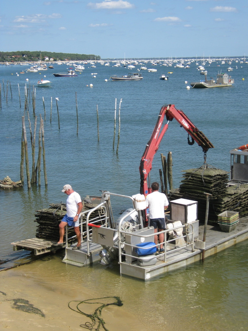moored, standing, horizon, Oysters, cloud - sky, scenics - nature, people, sea, outdoors, Artisan, beauty in nature, fishing industry, Oyster, horizon over water
