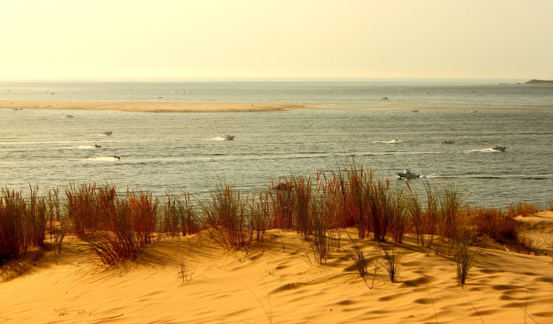 arid climate, Sea, sand, plant, scenics, 1080P, Sand Dune, nature, water, beach, tranquil scene, wide, beauty in nature, pilat, dune you pilat, france