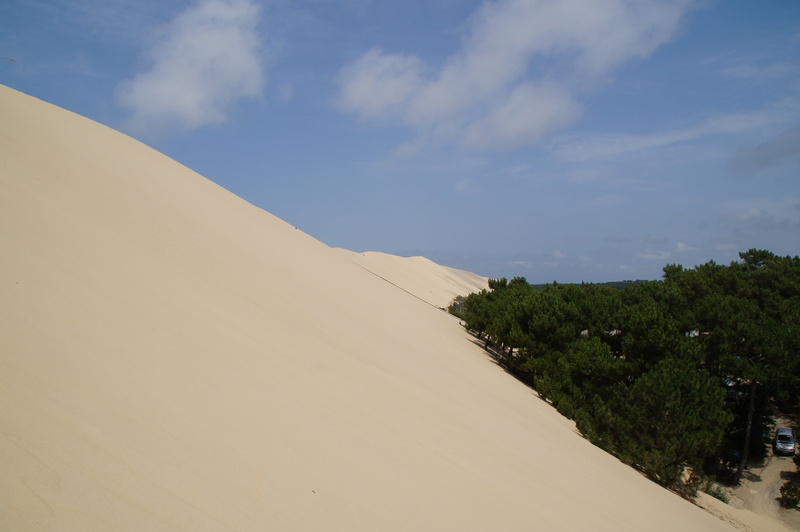 day, france, outdoors, dune du pilat, tree, grande, land, wide, arcachon, sand, environment, nature, dune, scenics - nature, ocean, 4K, dune pyla you