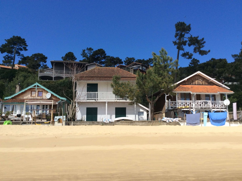residential district, sand, clear sky, le cap ferret, tree, nature, building exterior, no people, architecture, bassin darcachon, building, blue, outdoors