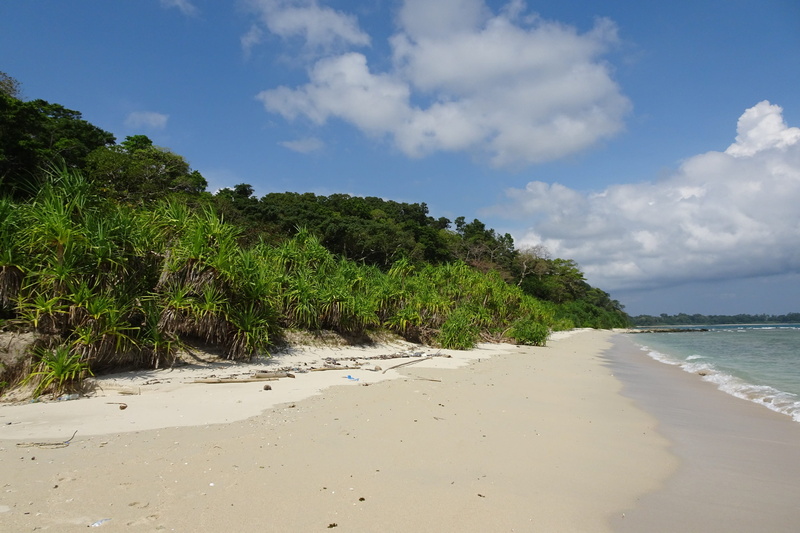 non-urban scene, growth, sea, tranquility, cloud - sky, 2K, no people, idyllic, outdoors, tranquil scene, tree, island, sand, water, andaman, land, ross smith