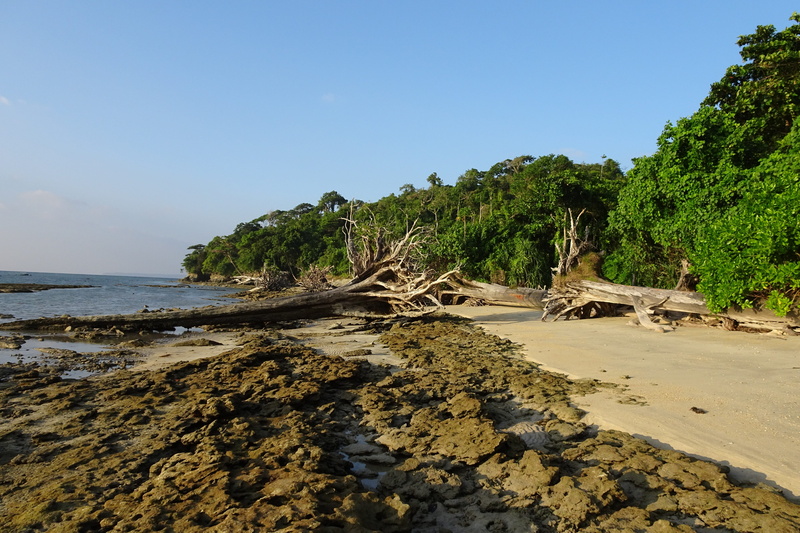 4K, tropical, sky, andaman, clear sky, day, coastal, rock, coast, outdoors, island, beach, vacation, littoral, travel, vegetation, beauty in nature, seascape
