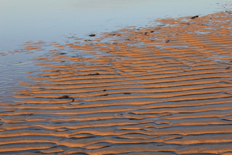 full frame, shoreline, tidal, 5K, Ripples, Sand, nature, outdoors, seashore, seaside, tranquility, coastline, scenics - nature, water, texture, pollution