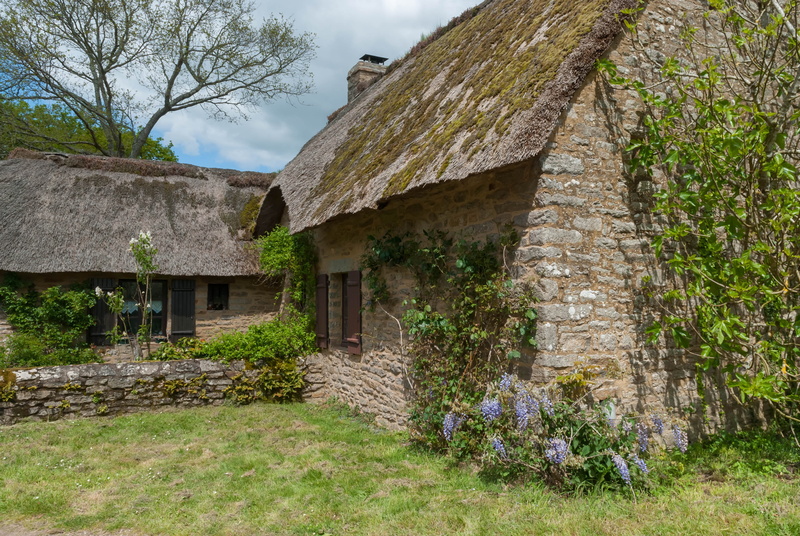 plant, kerhiné, architecture, sky, land, tree trunk, stay, traveling, house, built structure, outdoors, tourism, nature, green color, growth, stone wall