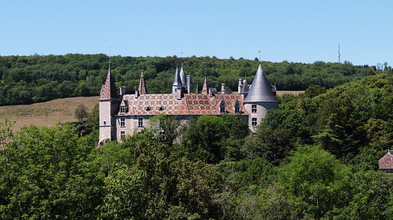 residential district, place of worship, building, travel destinations, nature, tree, the rochepot, day, côte-dor, history, heritage, sky, france, blue