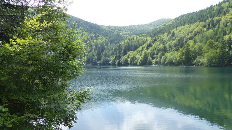 tranquility, tree, reflection, flowing water, france, dam, 4K, water, highlands, beauty in nature, idyllic, scenics - nature, green color, vosges, day