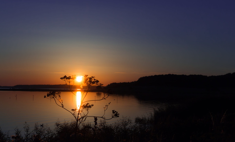 reflection, denmark, no people, lake, sea, tree, adobe lightroom, frederiksborgvej 211, water, canon, plant, tranquility, sky, copy space, non-urban scene